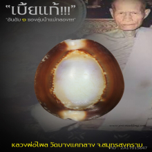 “เบี้ยแก้” หลวงพ่อไพล วัดบางแคกลาง จ.สมุทรสงคราม