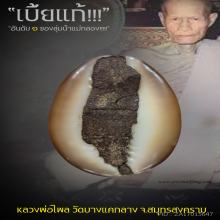 “เบี้ยแก้” หลวงพ่อไพล วัดบางแคกลาง จ.สมุทรสงคราม