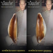 “เบี้ยแก้” หลวงพ่อไพล วัดบางแคกลาง จ.สมุทรสงคราม