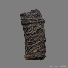 ตระกรุดหนังเสือ หลวงปู่นาค วัดอรุณฯ