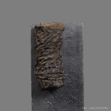 ตระกรุดหนังเสือ หลวงปู่นาค วัดอรุณฯ