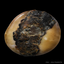 เบี้ยแก้ หลวงพ่อคำ วัดโพธิ์ปล้ำ อ่างทอง