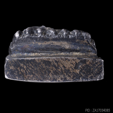 หลวงปู่ทวด หล่อโบราณ รุ่นสร้างโรงพยาบาลโคกโพธิ์ ปี 2539