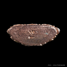 พระชัยวัฒน์พุทธปริต หลวงปู่ดุลย์ ปี 2515 เนื้อนาก