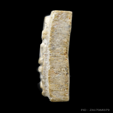 สมเด็จคะแนน(จิ๋ว)หลังยันต์เฑาะว์ หลวงปู่ทิม วัดละหารไร่ ปี15