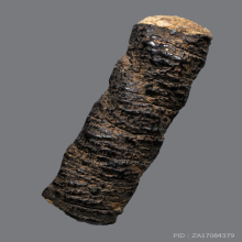 ตะกรุดหนังเสือ หลวงปู่บุญ วัดกลางบางแก้ว