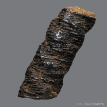 ตะกรุดหนังเสือ หลวงปู่บุญ วัดกลางบางแก้ว