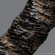 ตะกรุดหนังเสือ หลวงปู่บุญ วัดกลางบางแก้ว