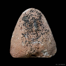 พระปิดตานักกล้าม เนื้อผงสีชมพู โรยผงตะไบ วัดประสาทฯ