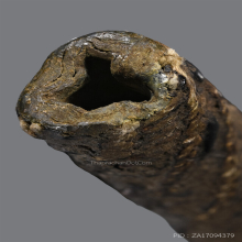 ตะกรุดหลวงปู่ศุข วัดปากคลองมะขามเฒ่า ชัยนาท