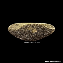 รูปหล่อหลวงพ่อพระใส วัดโพธิ์ชัย ปี 2558 เนื้อกะไหล่ทอง