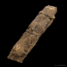 “ตะกรุดหนังหน้าผากเสือ”หลวงพ่อจง หน้าต่างนอก(ดอกเล็ก)