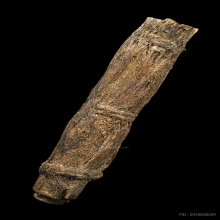 “ตะกรุดหนังหน้าผากเสือ”หลวงพ่อจง หน้าต่างนอก(ดอกเล็ก)