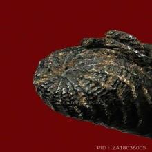 ตะกรุดไม้ไผ่ ดอกที่ 1