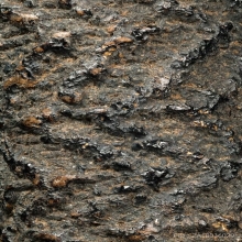 “ไม้ครูพิเศษดอกเล็ก”หลวงปู่ภู วัดอินทร์(ลายเข้ขบฟัน)