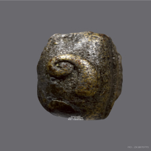 พระอุปคุตหลังพระพุทธ หลวงพ่ออิ่ม วัดหัวเขา