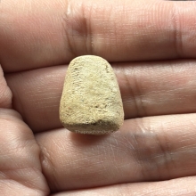 พระวัดพลับ พิมพ์พุงป่องใหญ่ สวยแชมป์ องค์ในตำนาน ชนะโล่รวม