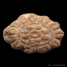 ดอกธาตุหริภุญไชย กรุลำพูน เนื้อดิน