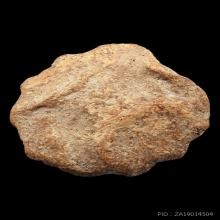 ดอกธาตุหริภุญไชย กรุลำพูน เนื้อดิน