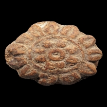 ดอกธาตุหริภุญไชย กรุลำพูน เนื้อดิน