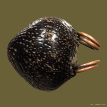 “เบี้ยเศรษฐี หรือ เบี้ยแก้” สำนักวัดกลางบางแก้ว จ.นครปฐม