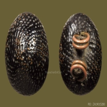 “เบี้ยเศรษฐี หรือ เบี้ยแก้” สำนักวัดกลางบางแก้ว จ.นครปฐม