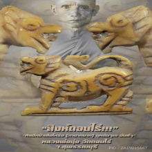 “สิงห์” (หน้าเสือโคร่ง) หลวงพ่อมุ่ย วัดดอนไร่ จ.สุพรรณบุรี