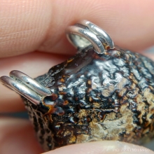 เบี้ยแก้โทเร ลป.เพิ่ม