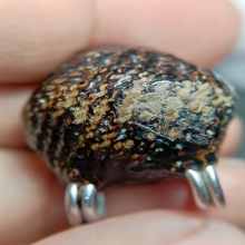 เบี้ยแก้โทเร ลป.เพิ่ม