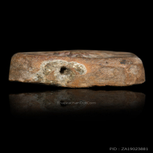 พระหลวงพ่อปาน วัดบางนมโค อยุธยา พิมพ์เม่นมังกร สวยแชมป์