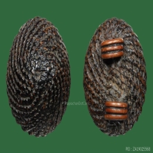 “เบี้ยแก้” หลวงปู่เพิ่ม วัดกลางบางแก้ว จ.นครปฐม