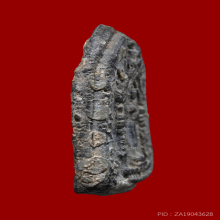 พระสมเด็จปิลันทน์ วัดระฆังโฆสิตาราม พิมพ์ซุ้มประตู