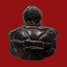 เต่าไม้แกะหลังลงจารน์