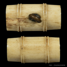 >>>..,ตะโพน หลวงพ่อพัก วัดโบสถ์ เดิมๆ