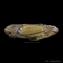 พระชัยวัฒน์หลวงพ่อสุทธิ์ วัดหนองหวาย พิมพ์ใหญ่มีเม็ดพระศก