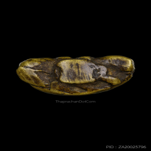 พระปิดตาหลวงพ่อยุ้ยวัดบางกะปิ