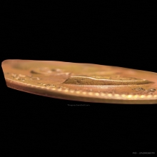 เหรียญหันข้างสร้างโรงเรียน ปี16 หลวงปู่โต๊ะ เนื้อนวะ 2 โค้ต 