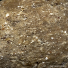 ลูกอมหลวงพ่อทองสุข วัดสะพานสูง (เนื้อผงน้ำมัน)