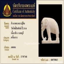 ช้างงาแกะวัดโพธิสัมพันธ์ ปลุกเสกโดยหลวงปู่ทิม วัดละหารไร่