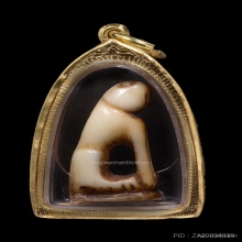 เสือหลวงพ่อแตง วัดอ่างศิลา จ.ชลบุรี