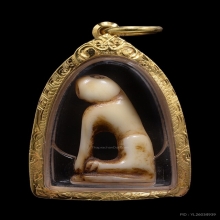 เสือหลวงพ่อแตง วัดอ่างศิลา จ.ชลบุรี