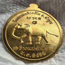 เหรียญครูบาจันต๊ะ อนาวิโล รุ่นแรก  ปี 2562 เนื้อทองคำ No.8