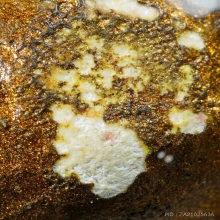 ลูกอมผงพรายกุมาร  หลวงปู่ทิม วัดละหารไร่ 