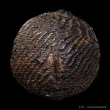 ”เบี้ยแก้อันดับหนึ่งเมืองไทย“หลวงปู่รอด นายโรง(ติดที่3)