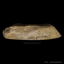 พระหลวงปู่บุญ พิมพ์ซุ้มโค้ง เนื้อผงผสมว่าน ปี2459 สภาพสวยมาก