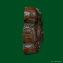 ปิดตาหลังรูปเหมือนหลวงปู่ทิม วัดละหารไร่