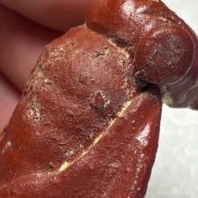 ผีเสื้อเนื้อผงสมุกปั้น เครื่องรางล้านนา