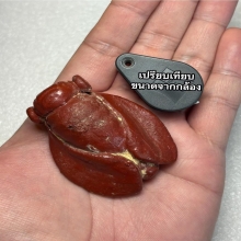 ผีเสื้อเนื้อผงสมุกปั้น เครื่องรางล้านนา