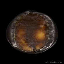 เบี้ยแก้หลวงพ่อกลุ่ม วัดฝาง