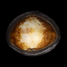 เบี้ยแก้หลวงพ่อกลุ่ม วัดฝาง